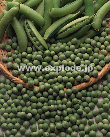 016�F�O���[���s�[�X