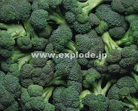 029�F�u���b�R���[
