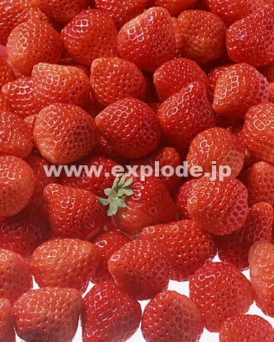 057�F�C�`�S