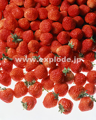 058�F�C�`�S