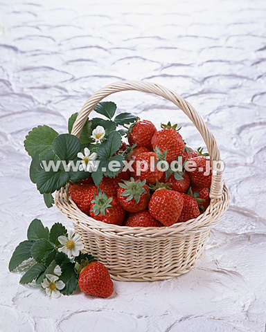 062�F�C�`�S�̂�������