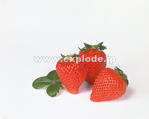 065�F�C�`�S