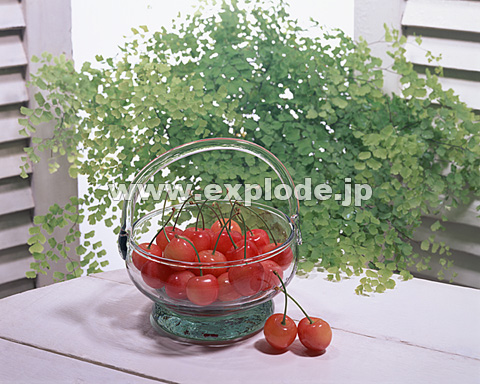 071�F�T�N�����{