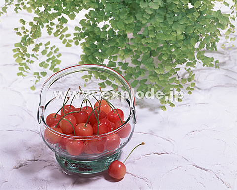072�F�T�N�����{