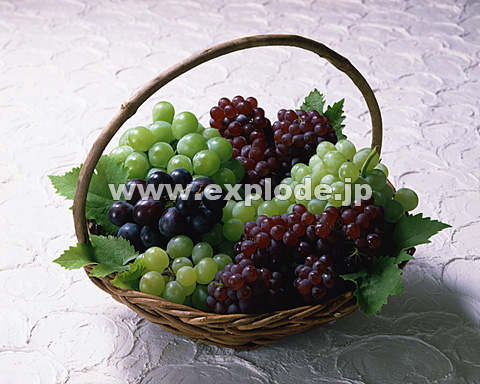 078�F�u�h�E�̂�������