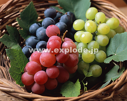 080�F�u�h�E�̂�������