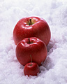 087：氷上のリンゴ