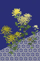 乱菊