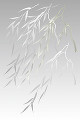 柳