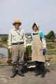 農作業着の男性と女性　米の苗　水田
