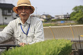 水田で田植機を運転する男性