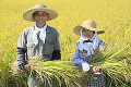 稲の中で刈り取った稲を持つ男性と女性